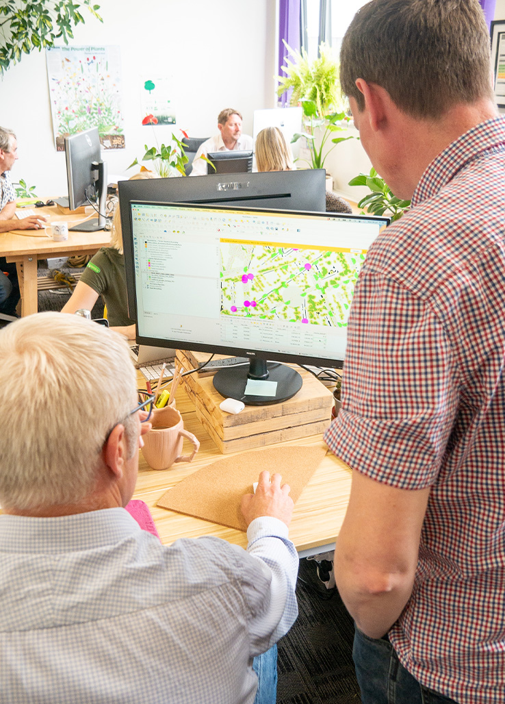 Urban Forestry Planning